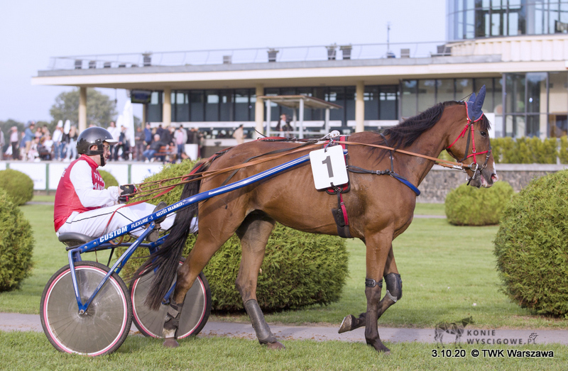 Hadol De Brion